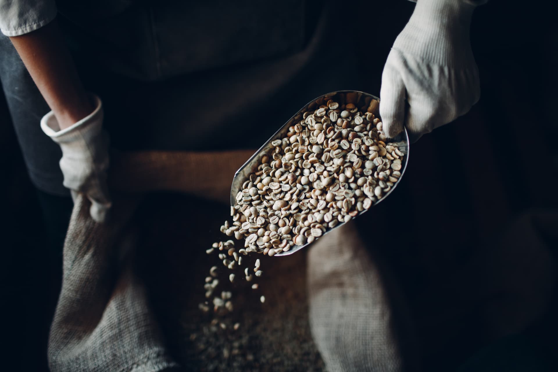 green coffee being portioned